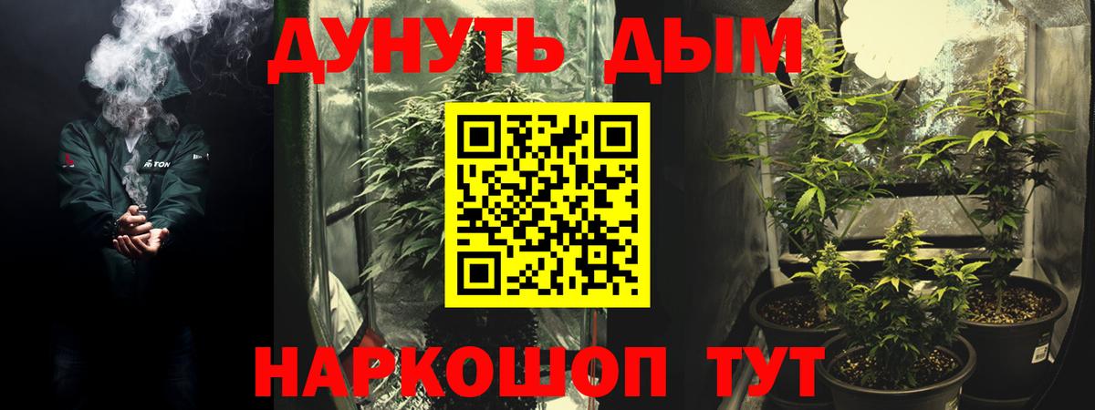 Канабис гибрид Улан-Удэ